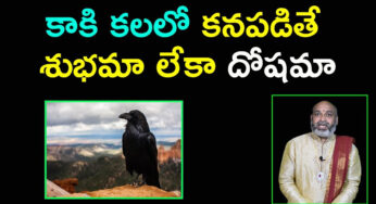 Crow : కాకి కలలో కనిపిస్తే ఏం జరుగుతుందో తెలుసా…?ప్రతి ఒక్కరు తెలుసుకోవాల్సిన నిజం…