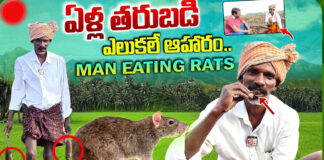 Rats are food...Rats are the source of life...If you know about this person, you will be shocked...