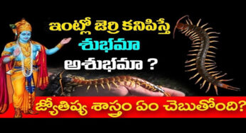 Dharmasandehalu : ఇంట్లో జెర్రీ కనిపిస్తే ఏమవుతుంది .. జ్యోతిష్య శాస్త్రం ఏం చెబుతుందంటే ..??