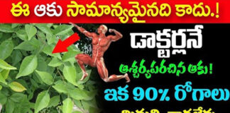 This leaf is not common.. 90% diseases are not cured..