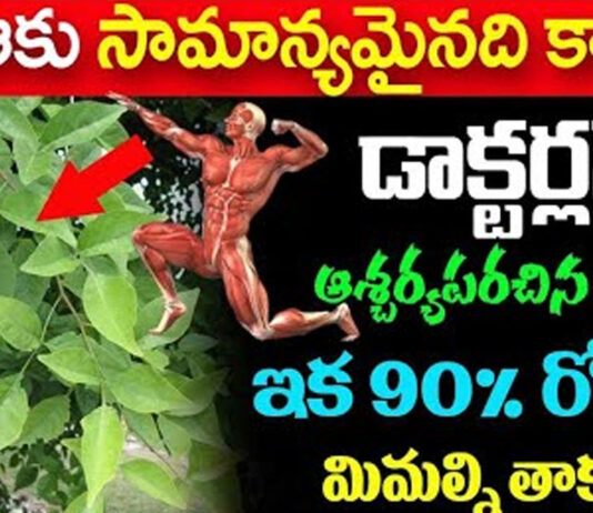 This leaf is not common.. 90% diseases are not cured..