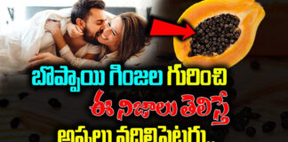 so-many-benefits-of-eating-papaya-seeds-especially-for-men
