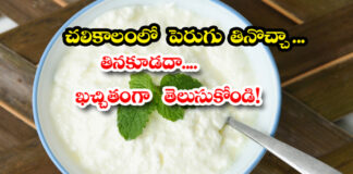 Can you eat curd in winter....must know these things...
