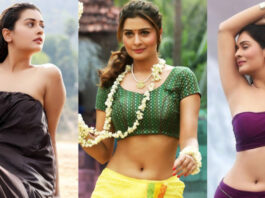 payal-who-got-a-chance-in-star-hero-with-mangalavaram-hit