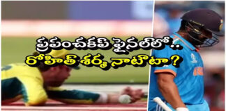 rohit-is-not-out-in-the-world-cup-final-here-is-the-proof
