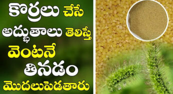Korralu Benefits : కొర్రలు తినడం వలన కలిగే లాభాలు…ముఖ్యంగా అలాంటి వారికి…