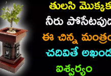 if-you-chant-this-mantra-while-watering-the-tulsi-plant-you-will-have-immense-wealth