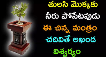 Tulasi Plant : తులసి మొక్కకు నీరు పోసేటప్పుడు ఈ మంత్రాన్ని జపిస్తే అఖండ ఐశ్వర్యం మీ సొంతం…